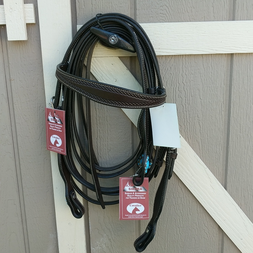 Western Headstall and Matching Reins 🐎